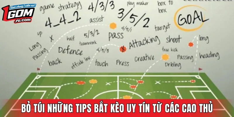 Bỏ túi những tips bắt kèo uy tín từ các cao thủ