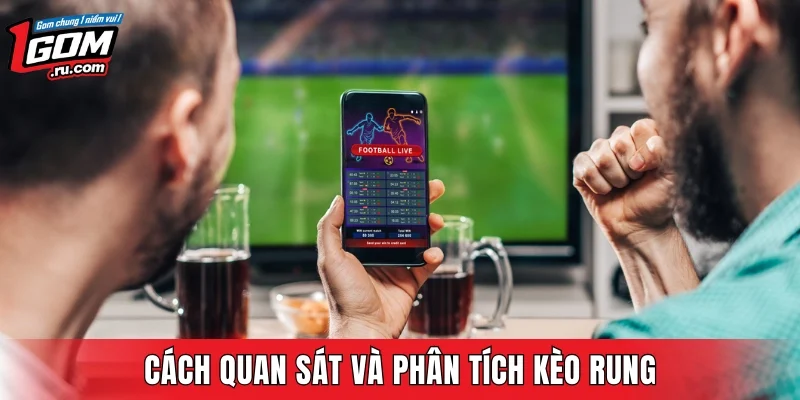 Cách quan sát và phân tích kèo rung dành cho người mới bắt đầu