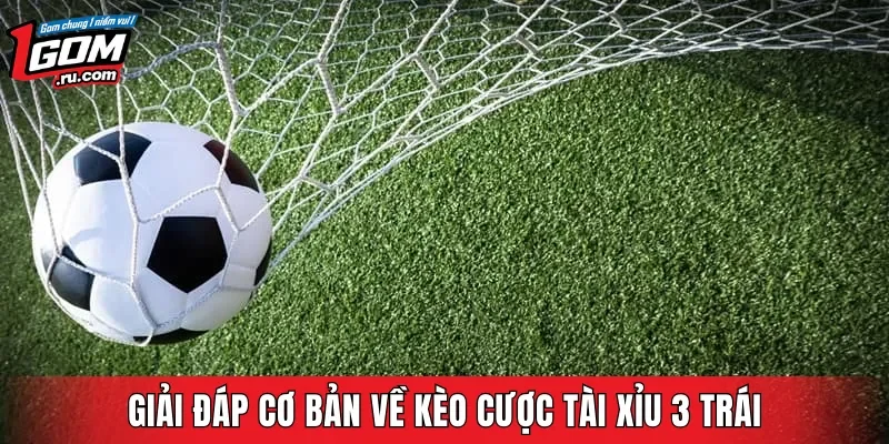 Giải đáp cơ bản về kèo cược tài xỉu 3 trái