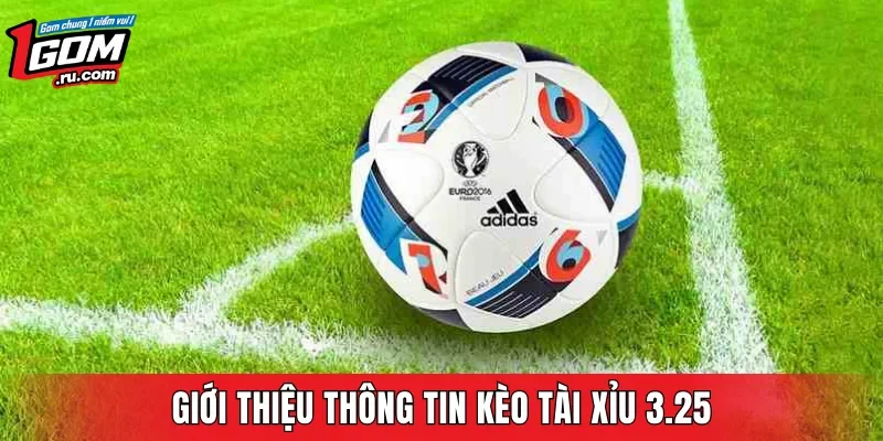 Giới thiệu thông tin kèo Tài Xỉu 3.25