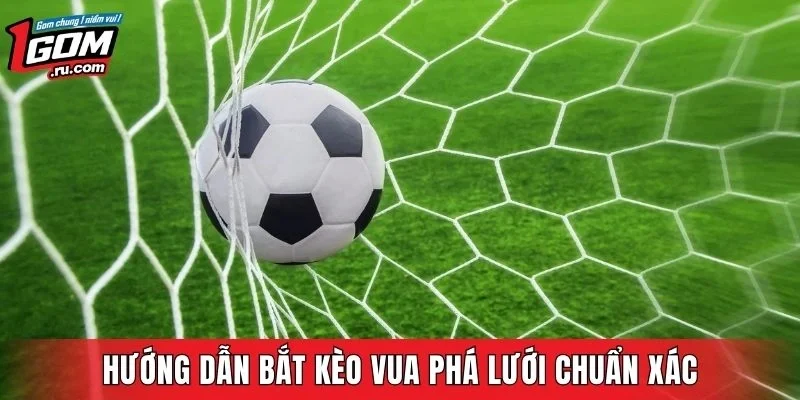 Hướng dẫn bắt kèo vua phá lưới chuẩn xác