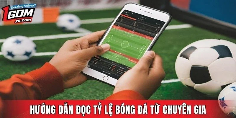Hướng dẫn đọc tỷ lệ bóng đá từ chuyên gia