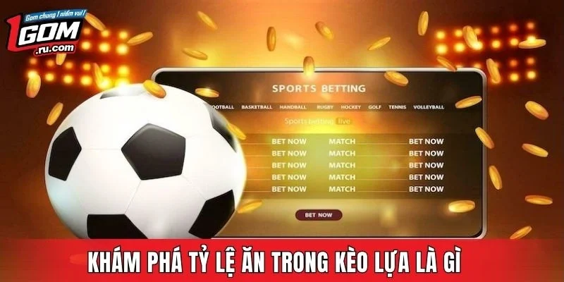 Khám phá tỷ lệ ăn trong kèo lựa là gì