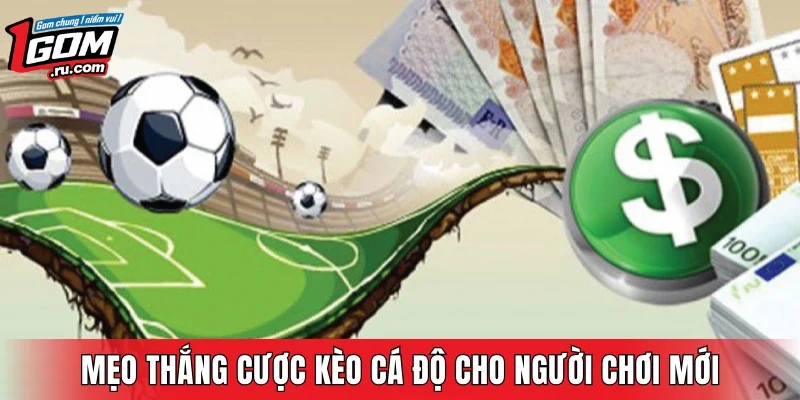 Mẹo thắng cược kèo cá độ cho người chơi mới