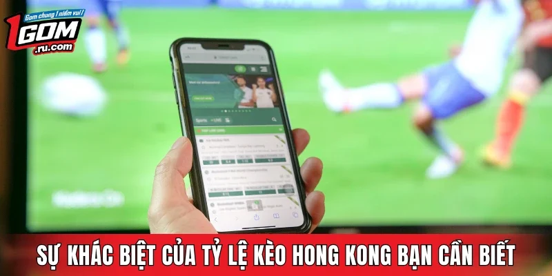 Sự khác biệt của tỷ lệ kèo Hong Kong bạn cần biết